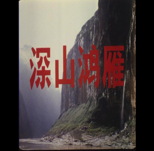 八一電影制片廠紀(jì)實片《深山鴻雁》