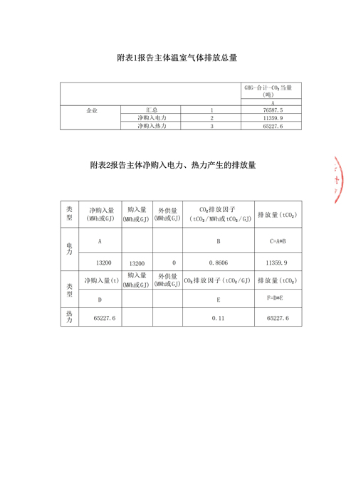 山東德源環(huán)氧科技有限公司溫室氣體排放報告2